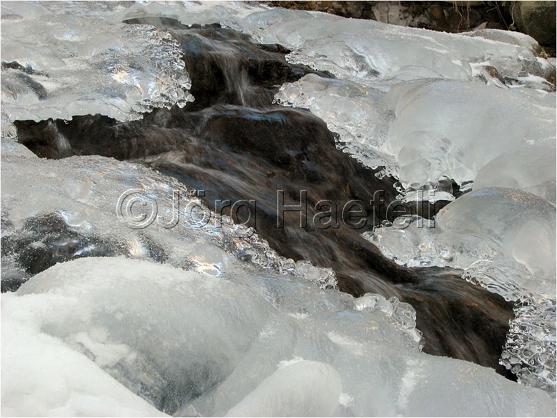 090113_ErlenbacherTobel_08.jpg