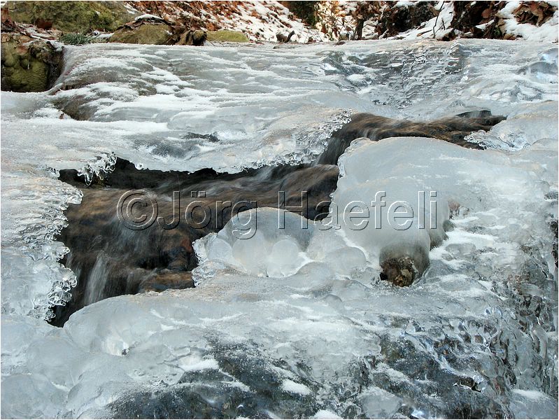 090113_ErlenbacherTobel_09.jpg
