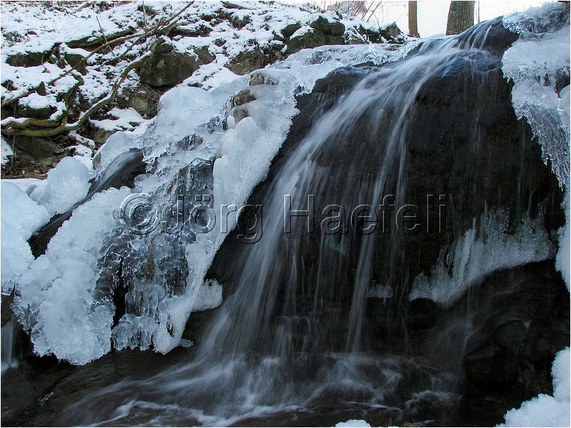 090113_ErlenbacherTobel_12.jpg