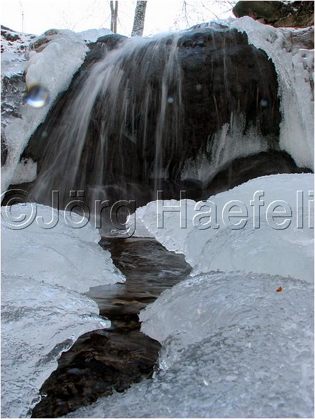 090113_ErlenbacherTobel_13.jpg