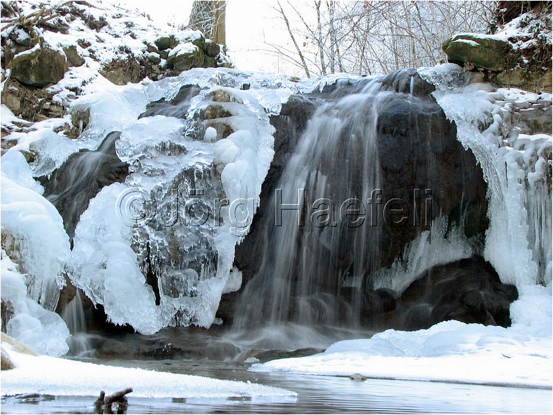 090113_ErlenbacherTobel_14.jpg