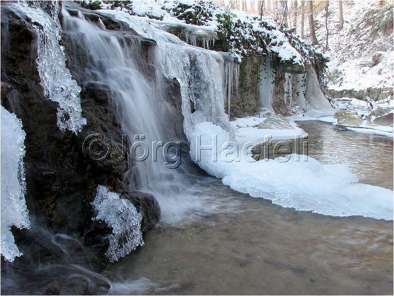 090113_ErlenbacherTobel_20.jpg