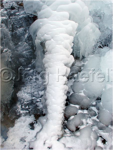 090113_ErlenbacherTobel_24.jpg