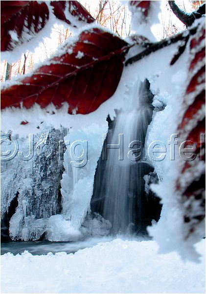 090113_ErlenbacherTobel_29.jpg