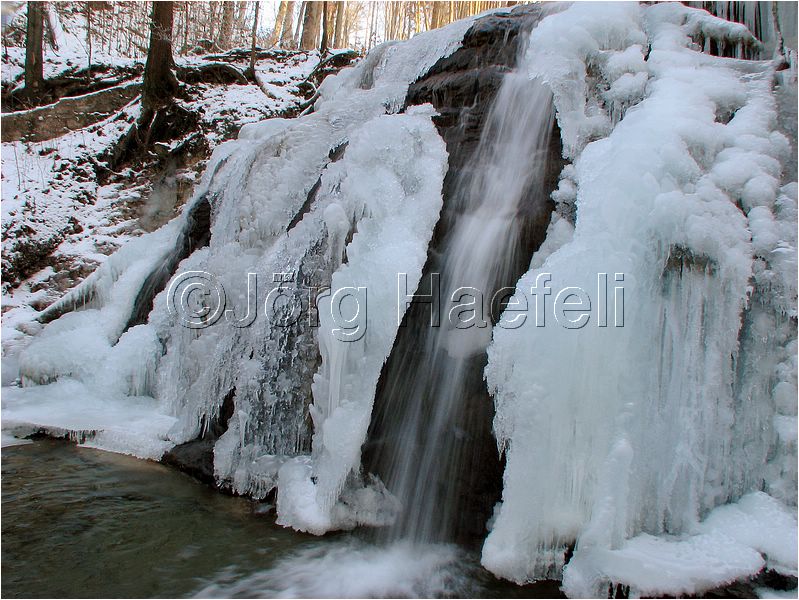 090113_ErlenbacherTobel_30.jpg