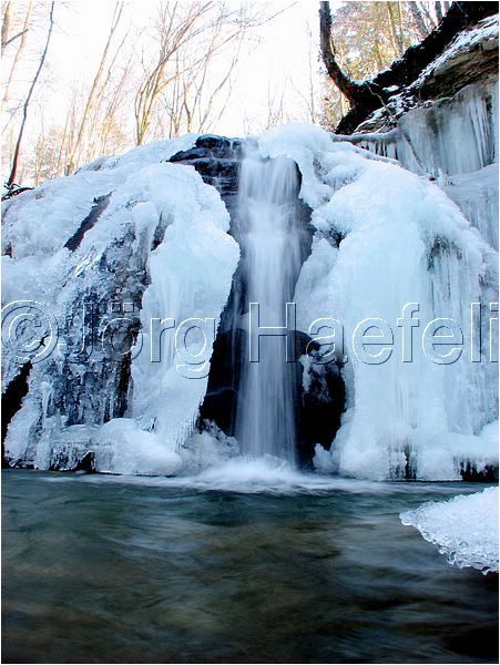 090113_ErlenbacherTobel_31.jpg