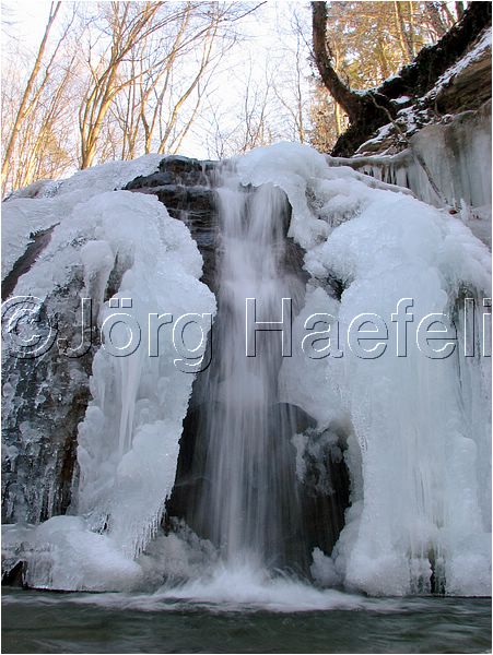 090113_ErlenbacherTobel_32.jpg