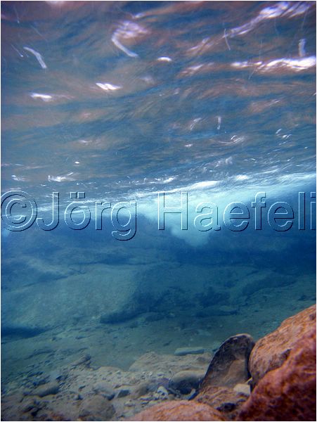 090113_ErlenbacherTobel_33.jpg