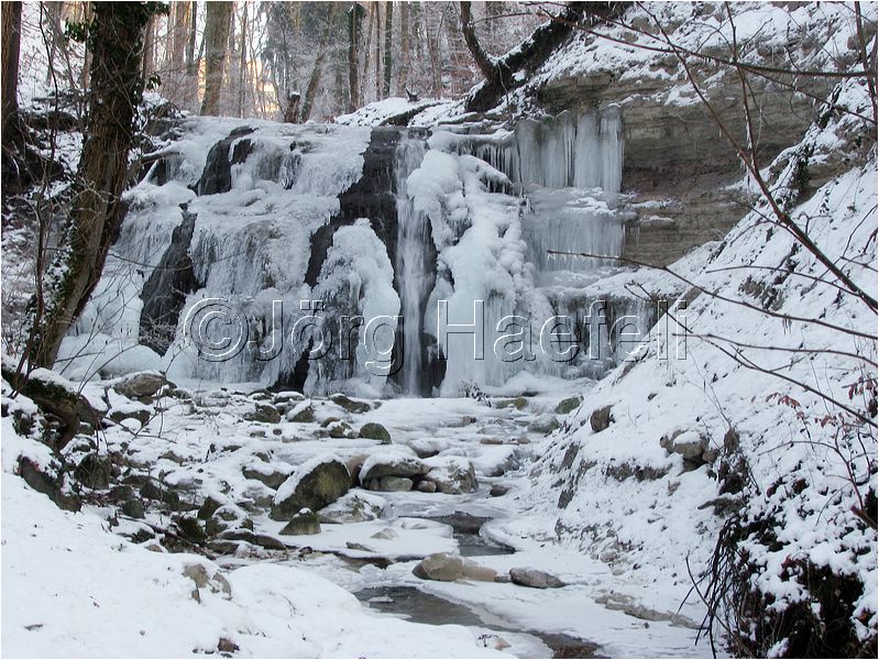 090113_ErlenbacherTobel_34.jpg