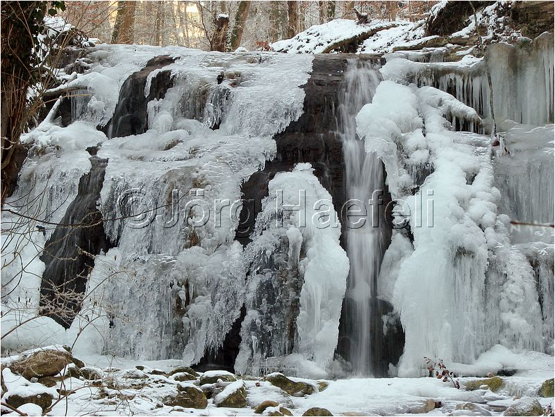 090113_ErlenbacherTobel_35.jpg