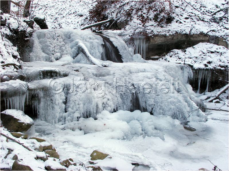 090113_ErlenbacherTobel_36.jpg