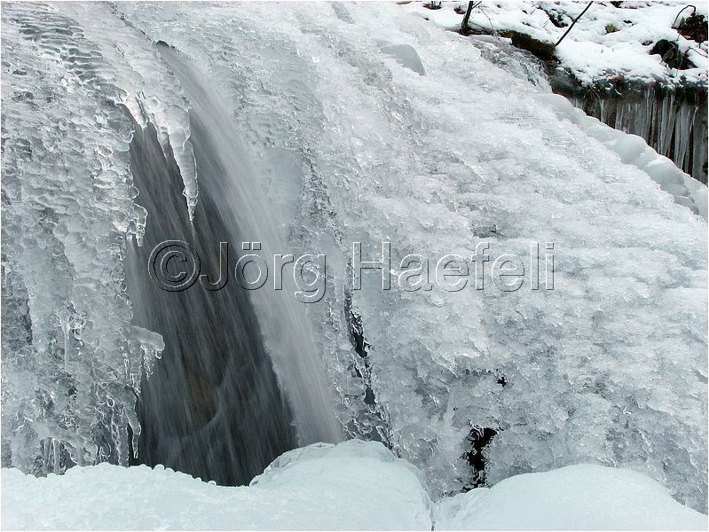 090113_ErlenbacherTobel_37.jpg