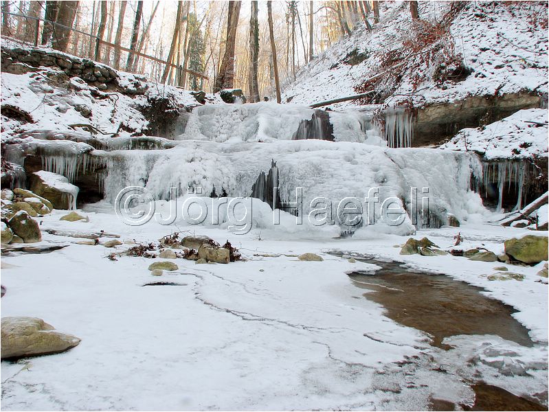 090113_ErlenbacherTobel_39.jpg