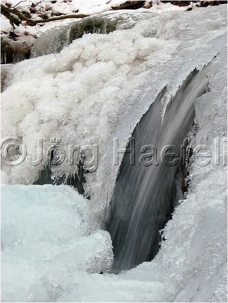 090113_ErlenbacherTobel_40.jpg