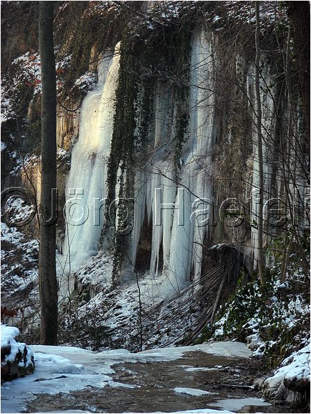 090113_ErlenbacherTobel_48.jpg