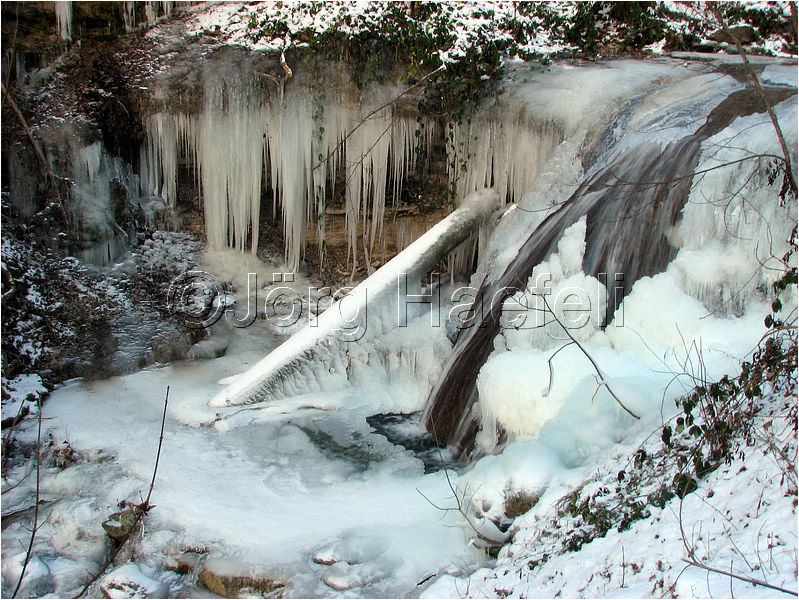 090113_ErlenbacherTobel_49.jpg