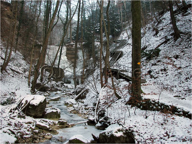 090113_ErlenbacherTobel_55.jpg
