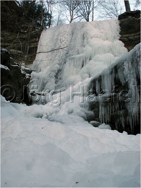 090113_ErlenbacherTobel_58.jpg