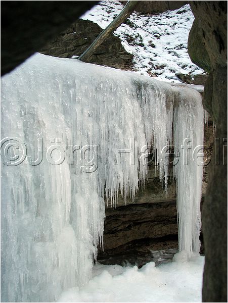 090113_ErlenbacherTobel_60.jpg