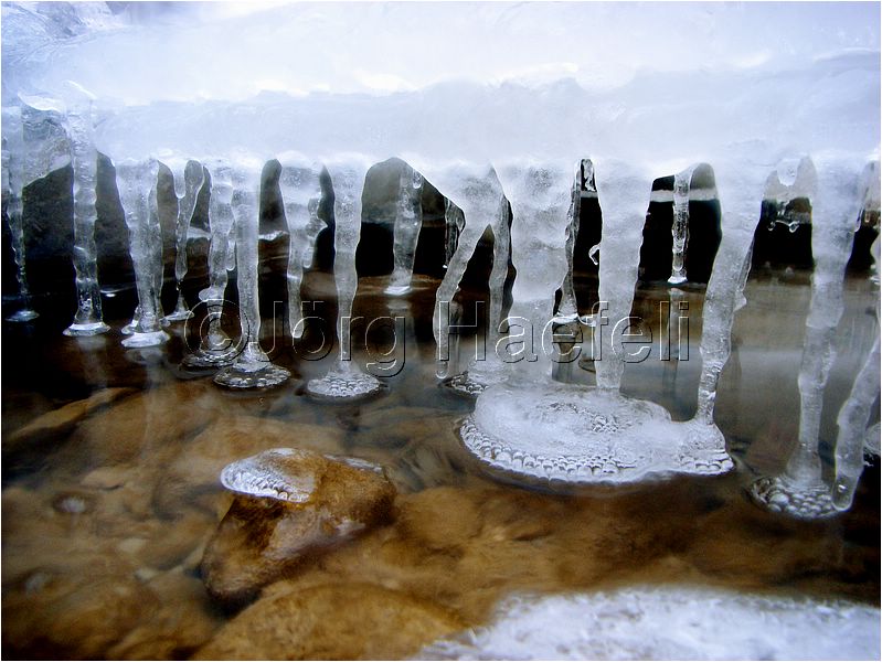 090113_ErlenbacherTobel_61.jpg