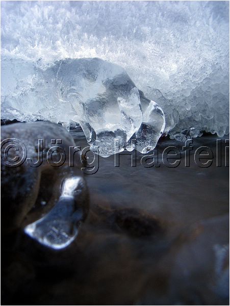 090113_ErlenbacherTobel_63.jpg
