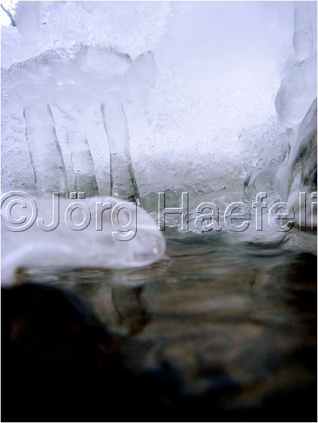 090113_ErlenbacherTobel_64.jpg
