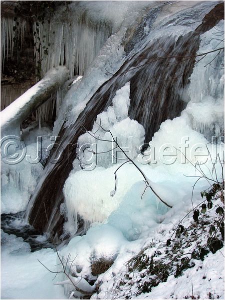 090113_ErlenbacherTobel_68.jpg