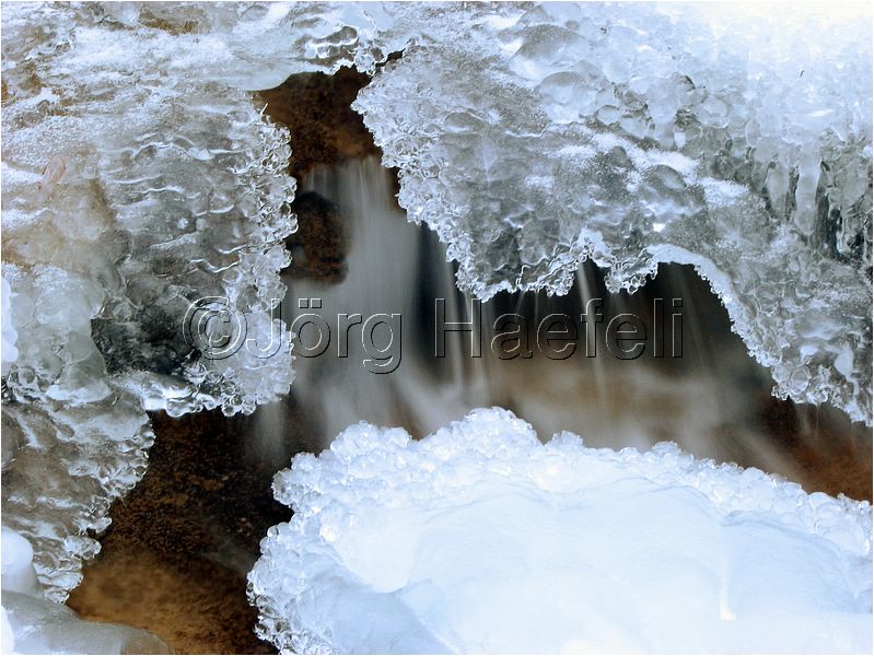 090113_ErlenbacherTobel_71.jpg