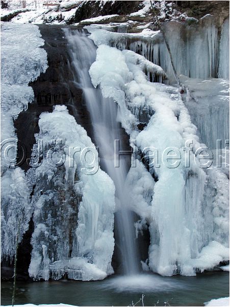 090113_ErlenbacherTobel_74.jpg
