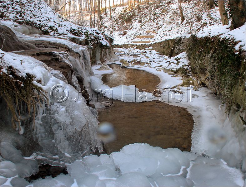 090113_ErlenbacherTobel_75.jpg