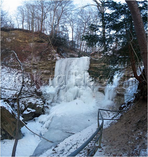 090113_ErlenbacherTobel_77.jpg