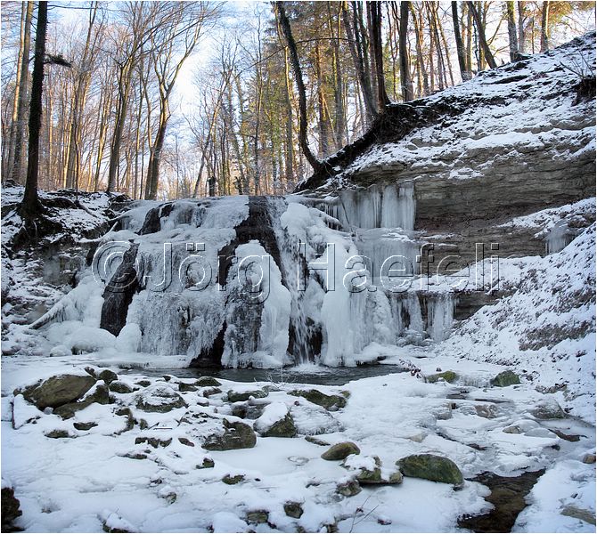 090113_ErlenbacherTobel_79.jpg
