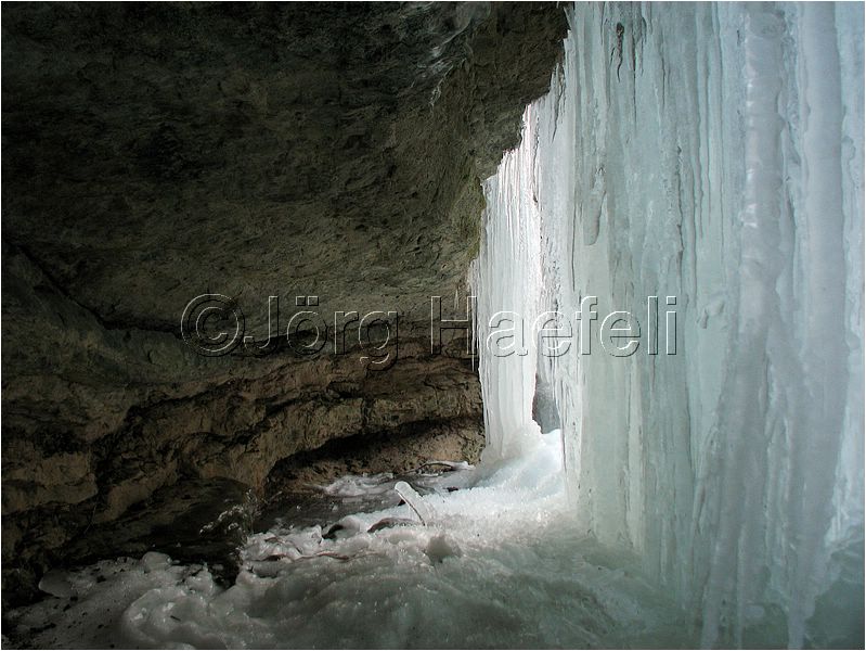 090113_ErlenbacherTobel_80.jpg