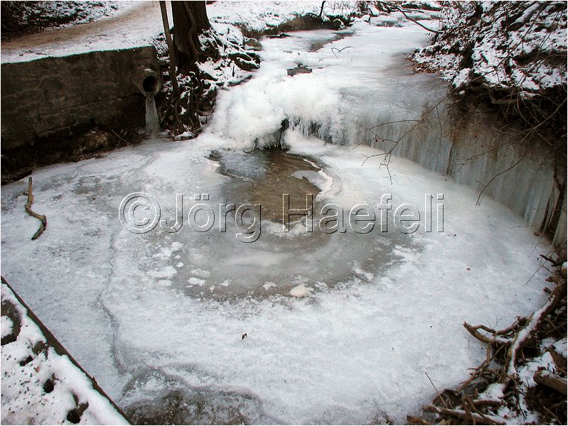 090113_ErlenbacherTobel_85.jpg