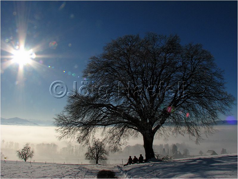 090113_Nebel_Wetzwil_04.jpg