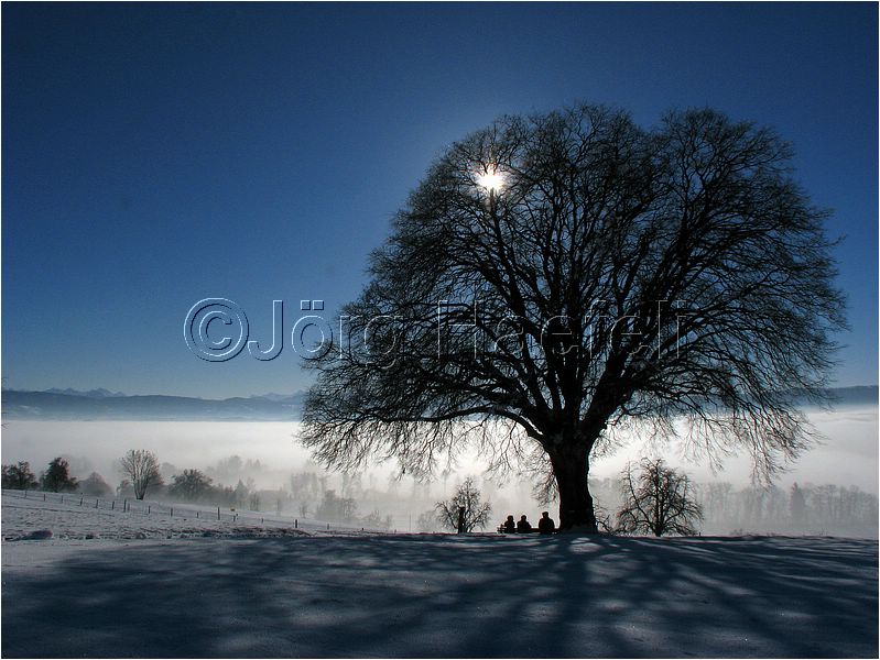 090113_Nebel_Wetzwil_05.jpg