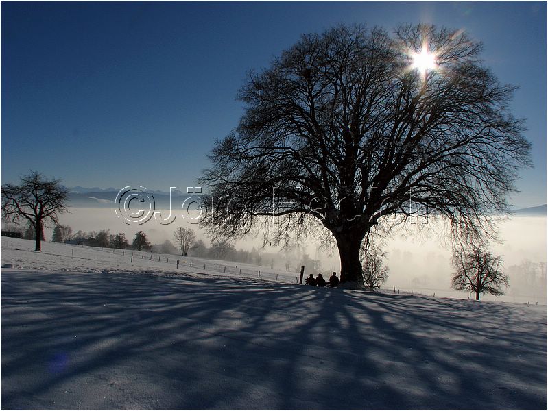 090113_Nebel_Wetzwil_07.jpg