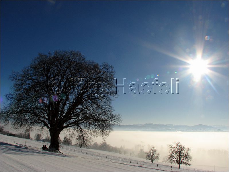 090113_Nebel_Wetzwil_08.jpg