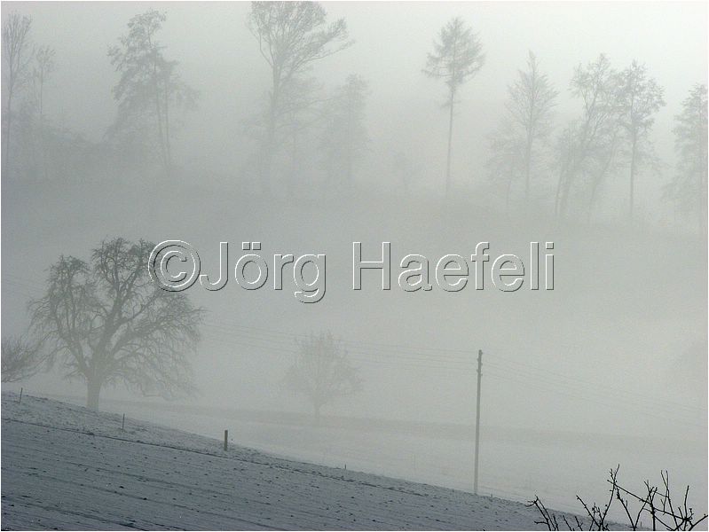 090113_Nebel_Wetzwil_12.jpg