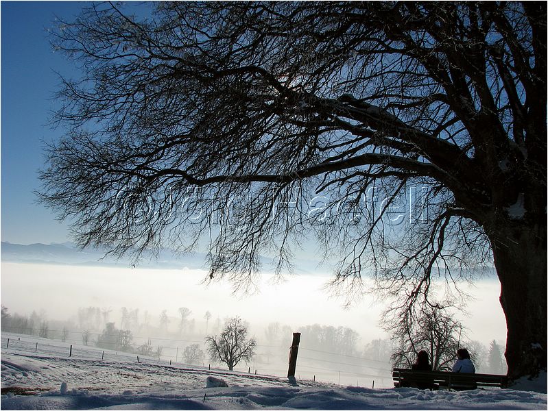 090113_Nebel_Wetzwil_14.jpg