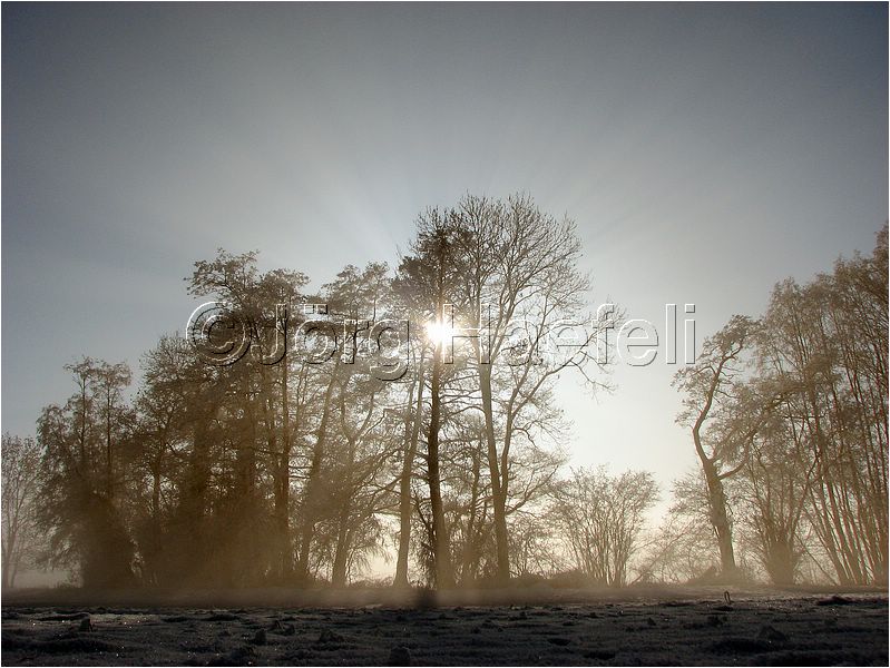 090113_Nebel_Wetzwil_15.jpg