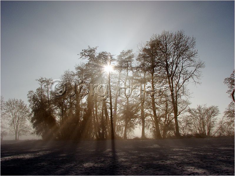 090113_Nebel_Wetzwil_16.jpg