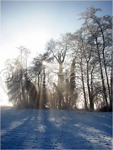 090113_Nebel_Wetzwil_17.jpg
