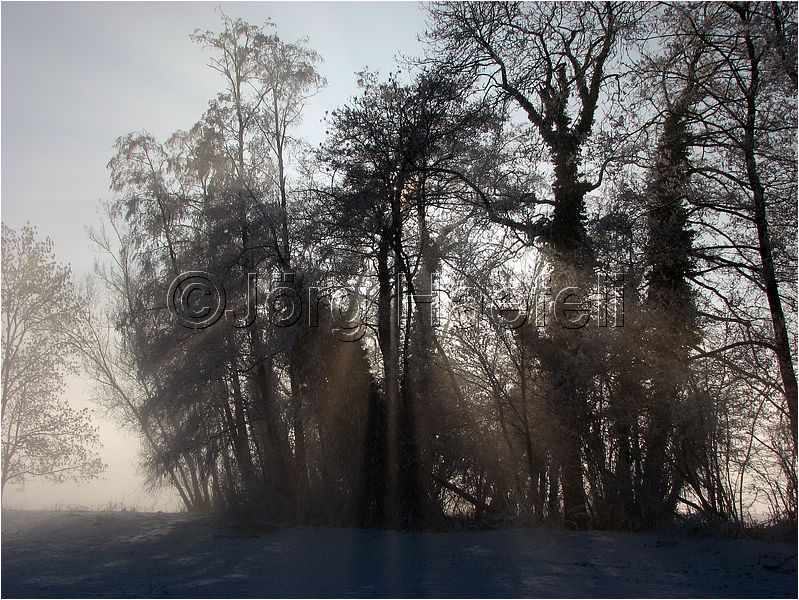 090113_Nebel_Wetzwil_19.jpg