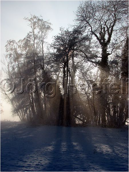 090113_Nebel_Wetzwil_20.jpg