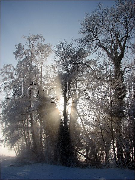 090113_Nebel_Wetzwil_21.jpg