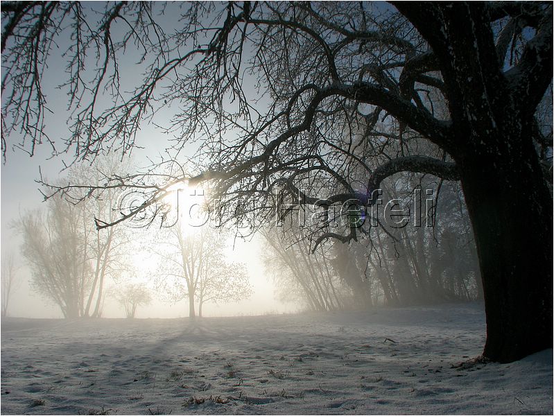 090113_Nebel_Wetzwil_23.jpg