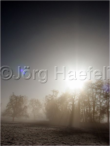 090113_Nebel_Wetzwil_25.jpg