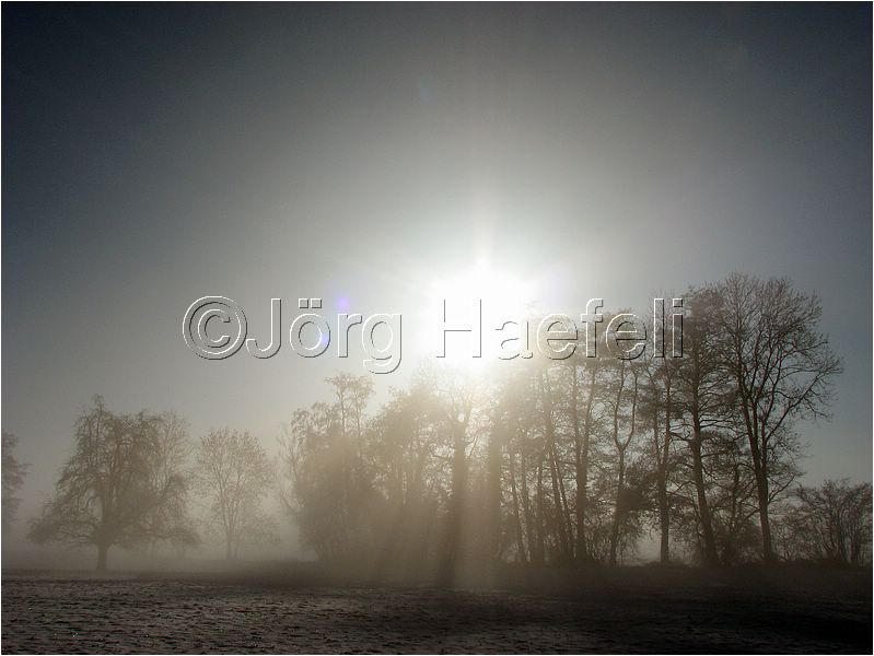 090113_Nebel_Wetzwil_26.jpg