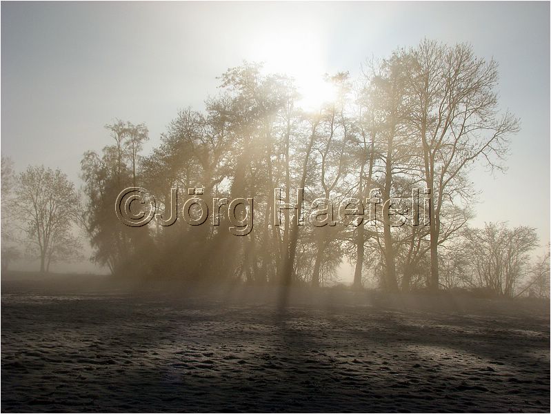 090113_Nebel_Wetzwil_27.jpg
